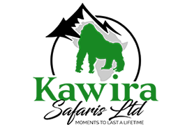 Kawira Safaris