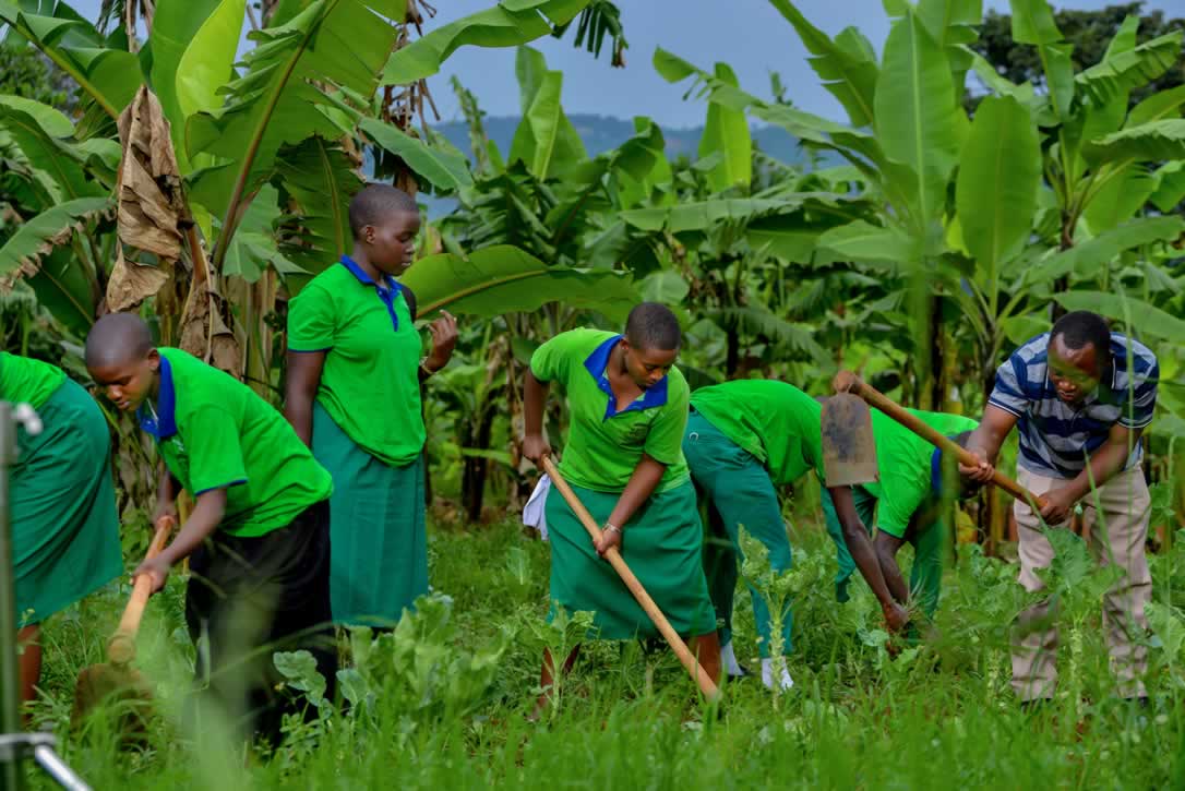 Ndejje Senior Secondary Cover Image