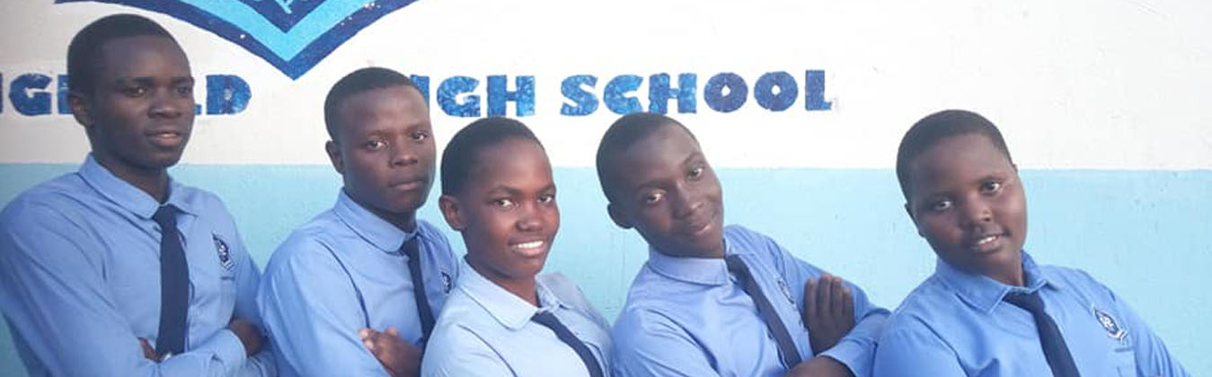 Springfield High School Cover Image