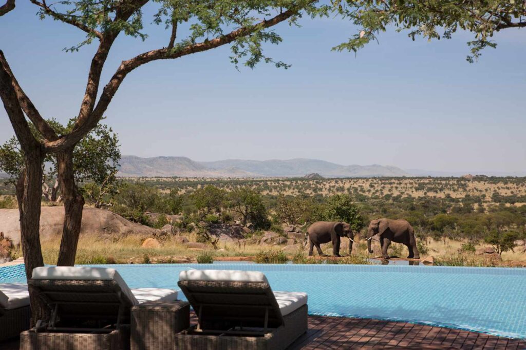 Luxury Escape Artist